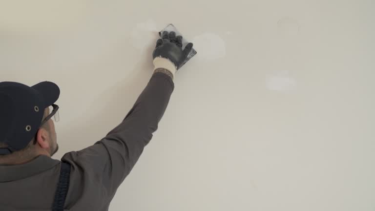 Best Pressure Washing and Painting Preparation  in Dansville, NY